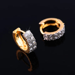 Two-color Plating Fine Zircon-embedded Earrings Women